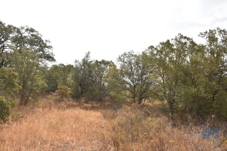 Terreno para Venda em Nossa Senhora do Pranto Foto 8