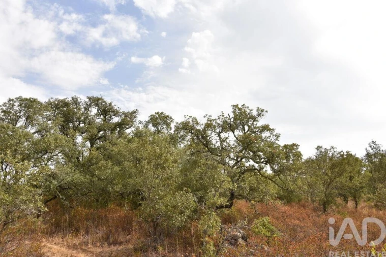 Terreno para Venda em Nossa Senhora do Pranto Foto 26