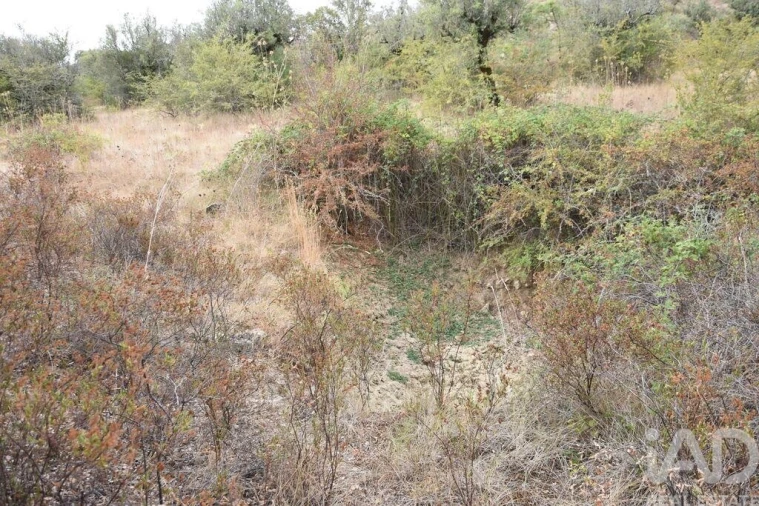 Terreno para Venda em Nossa Senhora do Pranto Foto 21