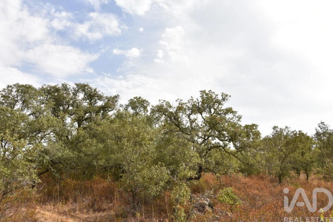 Terreno para Venda em Nossa Senhora do Pranto Foto 26