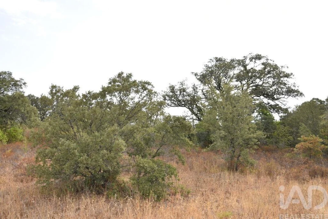 Terreno para Venda em Nossa Senhora do Pranto Foto 13