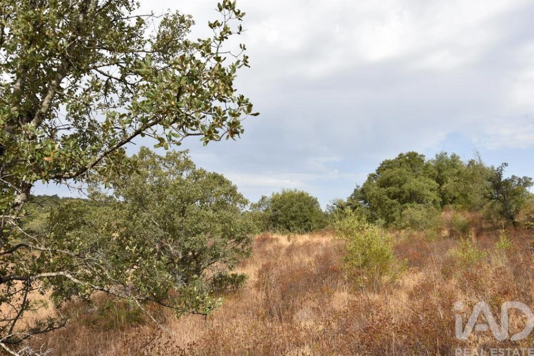 Terreno para Venda em Nossa Senhora do Pranto Foto 1