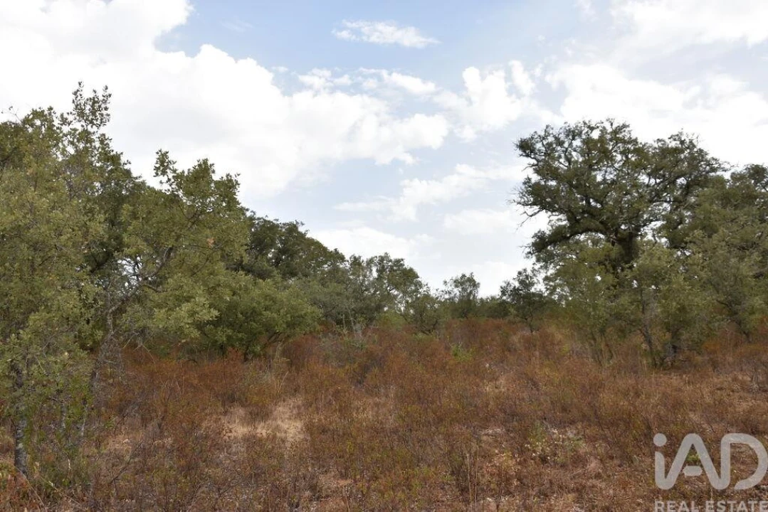 Terreno para Venda em Nossa Senhora do Pranto Foto 15