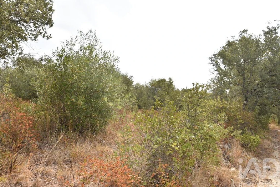 Terreno para Venda em Nossa Senhora do Pranto Foto 4