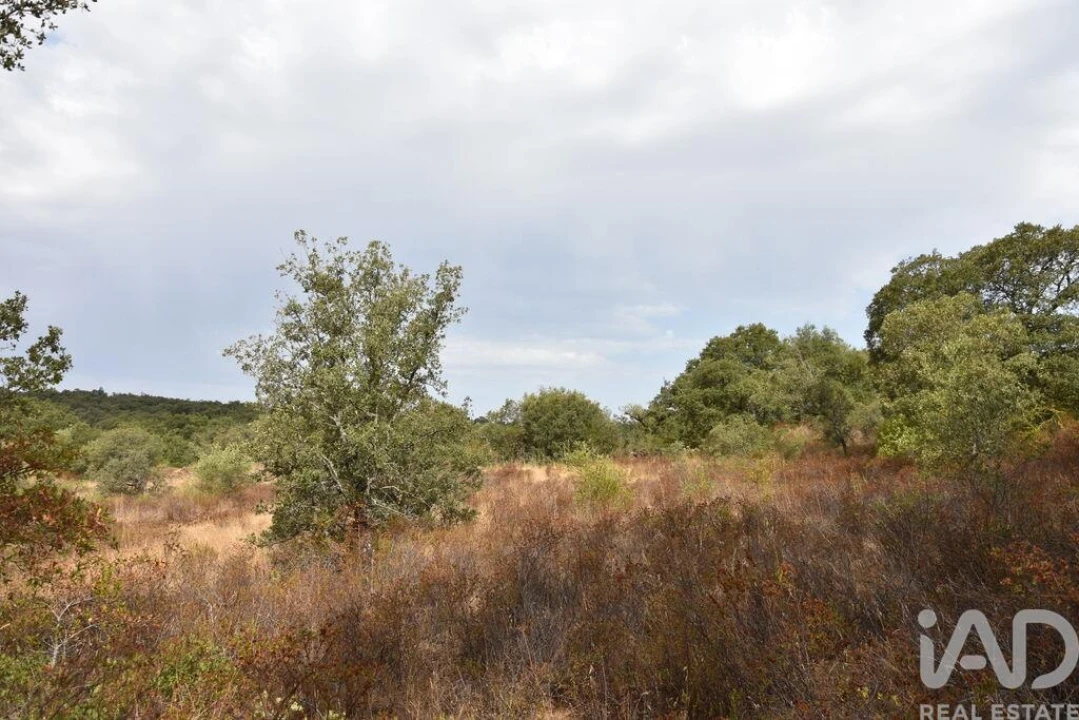Terreno para Venda em Nossa Senhora do Pranto Foto 10