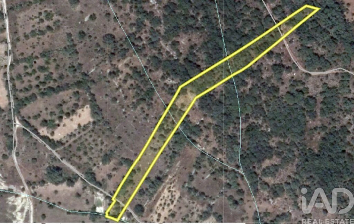 Terreno para Venda em Nossa Senhora do Pranto Foto 30