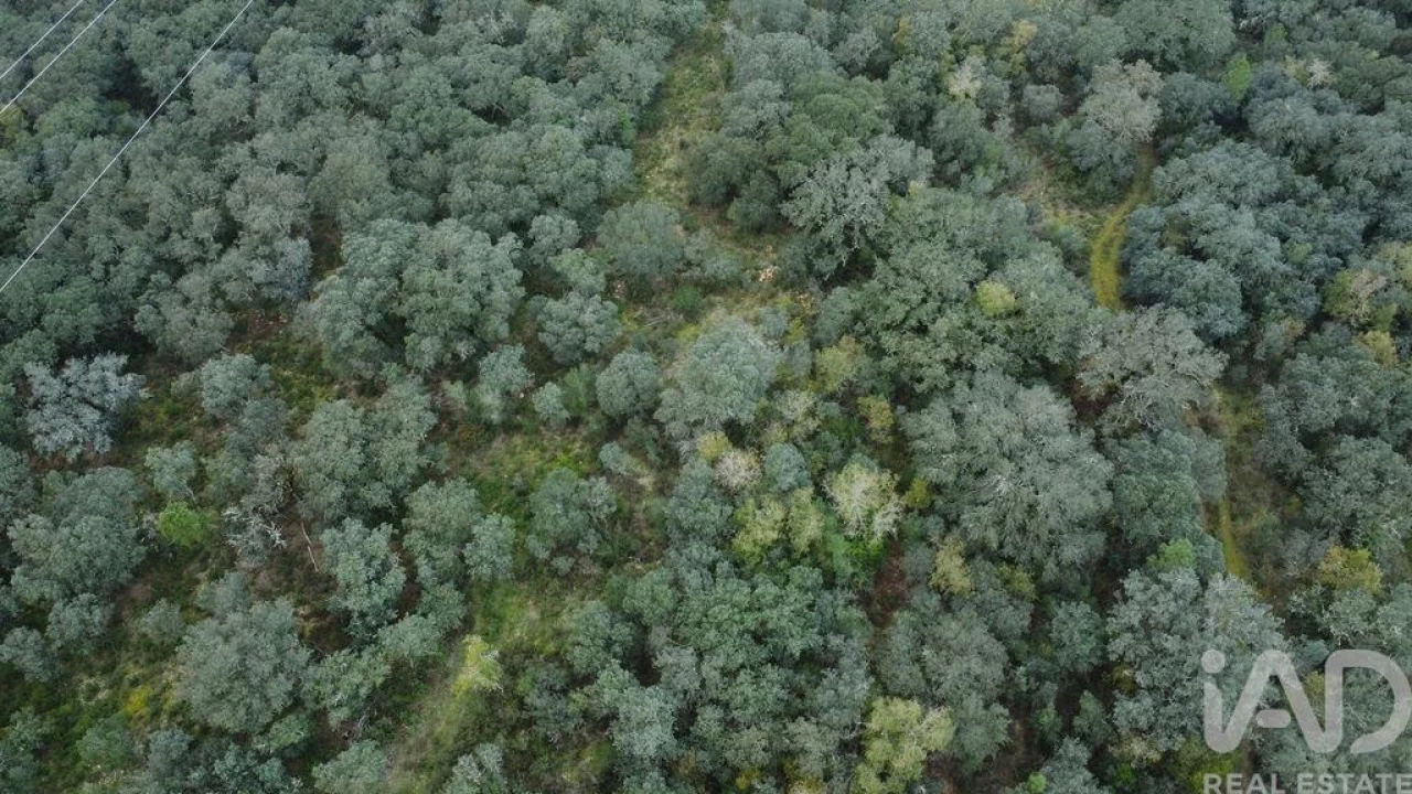 Terreno para Venda em Nossa Senhora do Pranto Foto 2