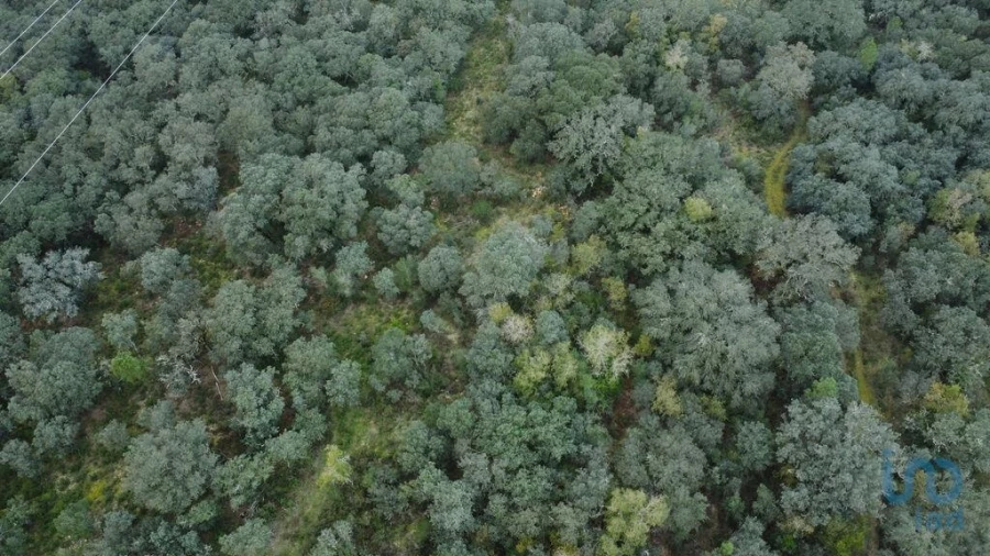 Terreno para Venda em Nossa Senhora do Pranto Foto 2