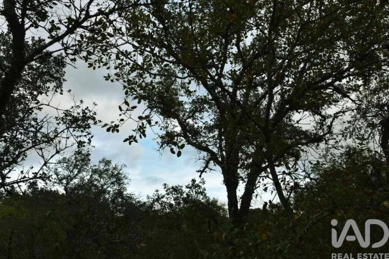 Terreno para Venda em Nossa Senhora do Pranto Foto 19