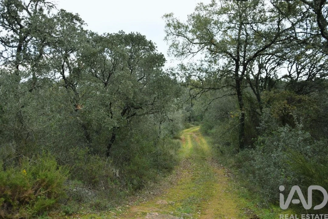 Terreno para Venda em Nossa Senhora do Pranto Foto 3