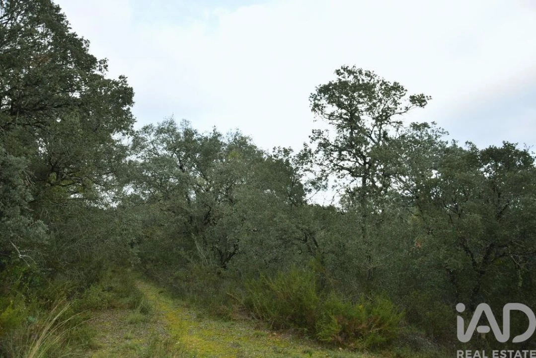 Terreno para Venda em Nossa Senhora do Pranto Foto 7