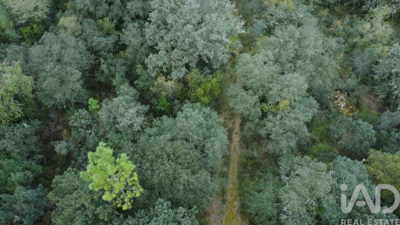 Terreno para Venda em Nossa Senhora do Pranto Foto 4