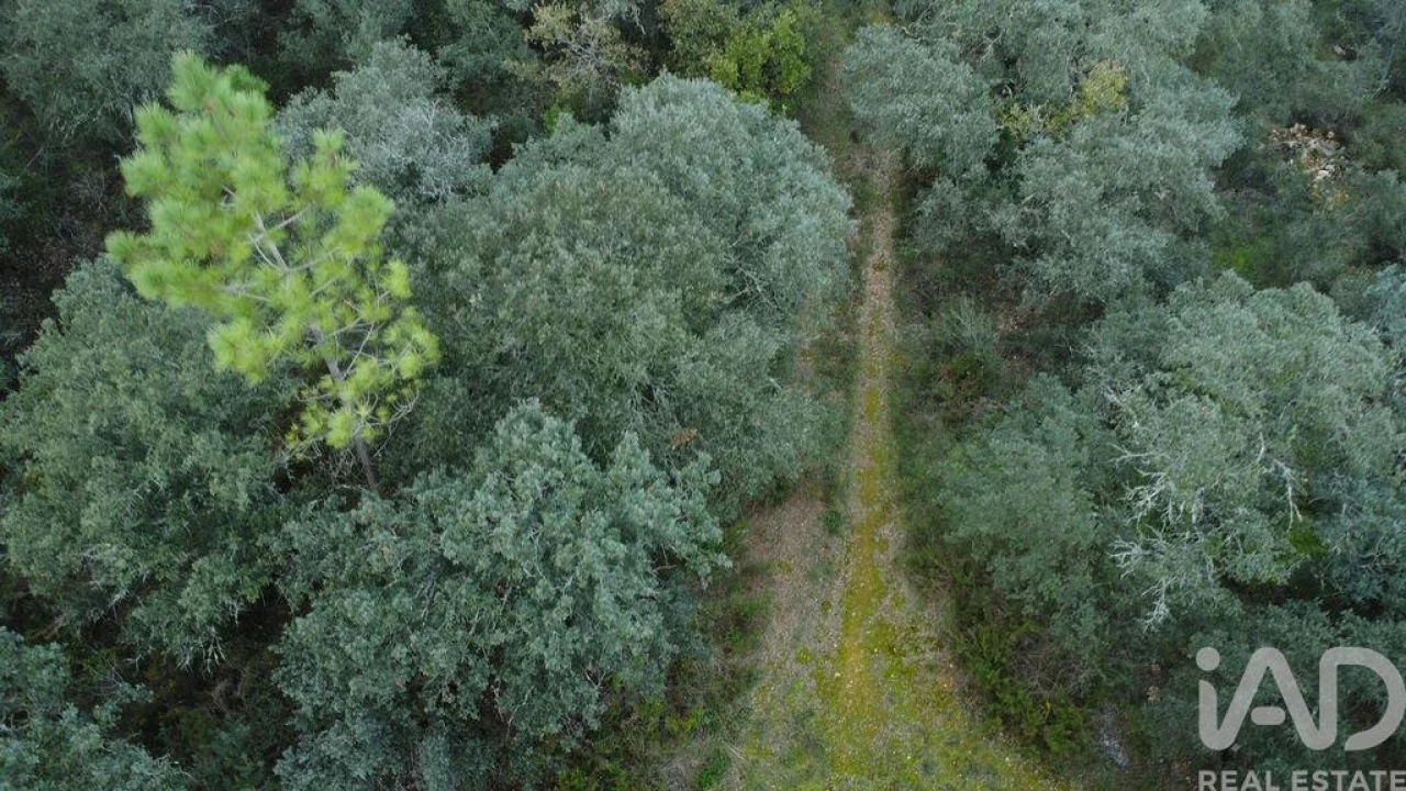 Terreno para Venda em Nossa Senhora do Pranto Foto 5