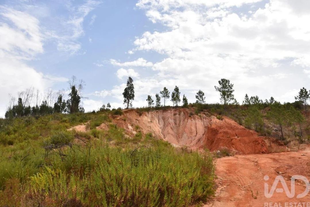 Terreno para Venda em Nossa Senhora do Pranto Foto 10