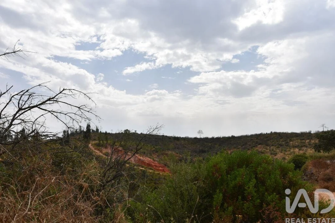 Terreno para Venda em Nossa Senhora do Pranto Foto 17