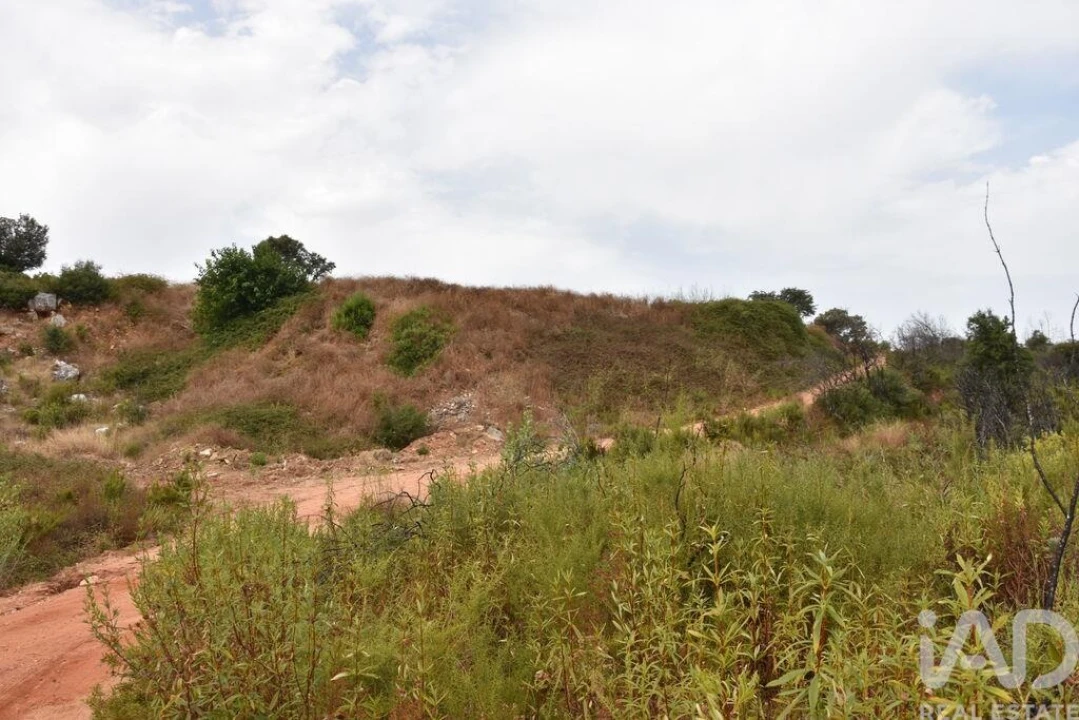 Terreno para Venda em Nossa Senhora do Pranto Foto 3