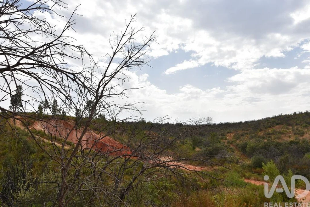 Terreno para Venda em Nossa Senhora do Pranto Foto 12