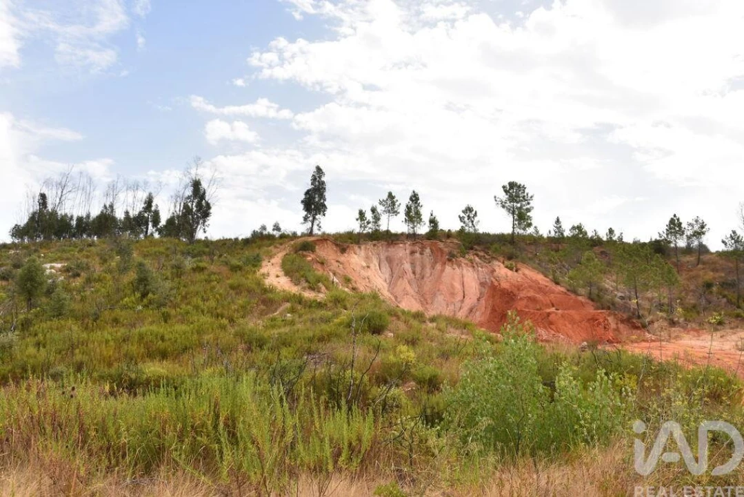Terreno para Venda em Nossa Senhora do Pranto Foto 5