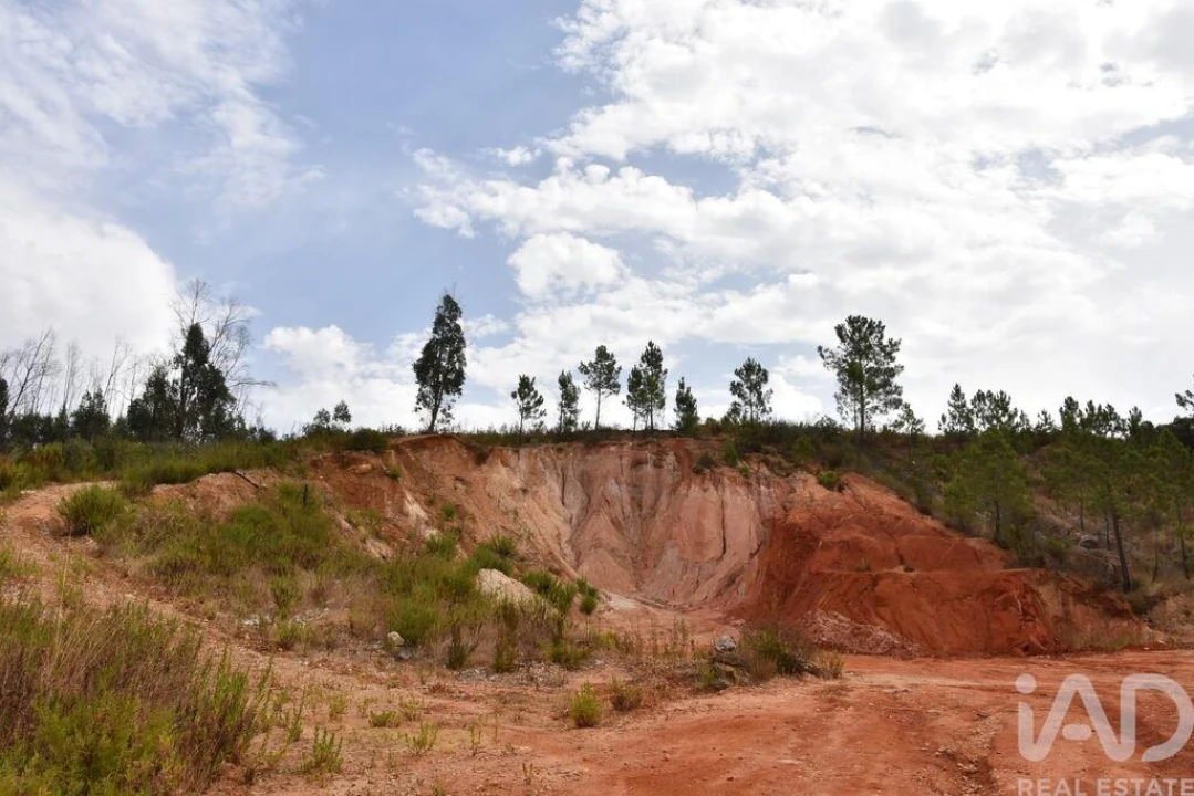 Terreno para Venda em Nossa Senhora do Pranto Foto 8