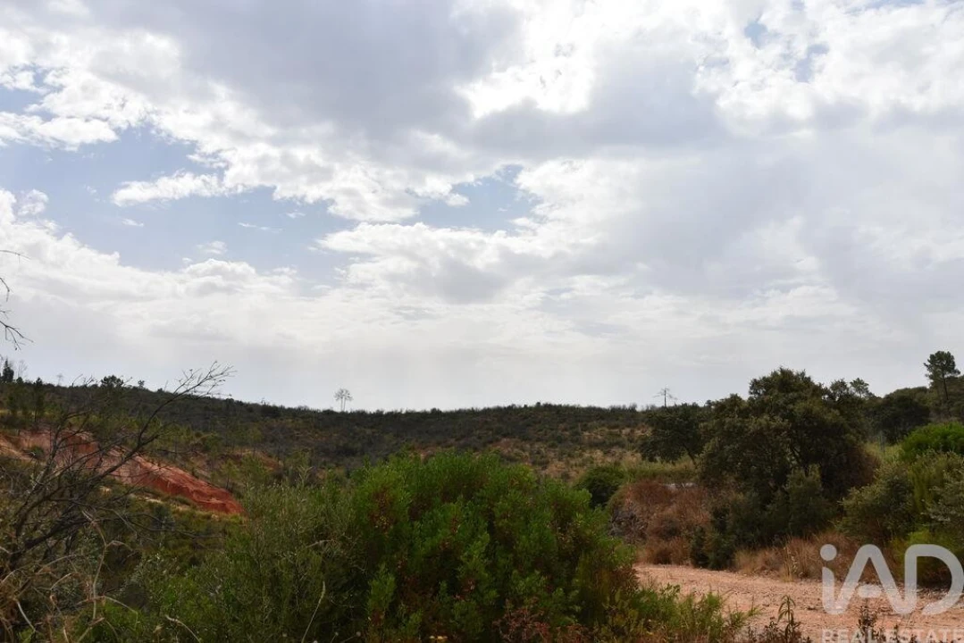 Terreno para Venda em Nossa Senhora do Pranto Foto 16