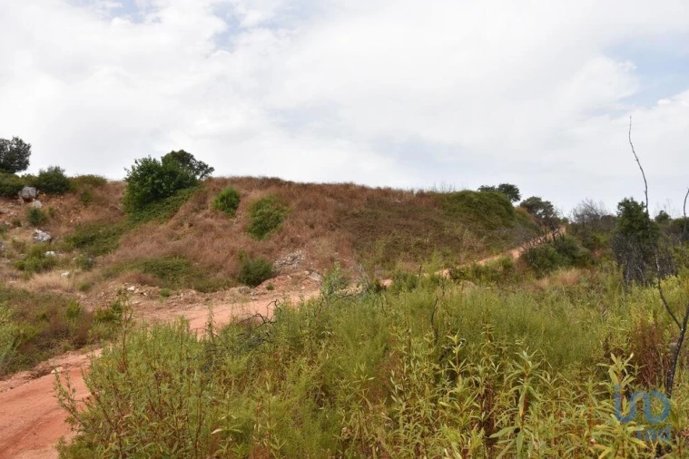 Terreno para Venda em Nossa Senhora do Pranto Foto 3