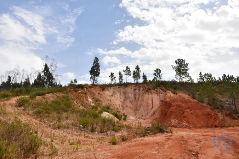 Terreno para Venda em Nossa Senhora do Pranto Foto 9