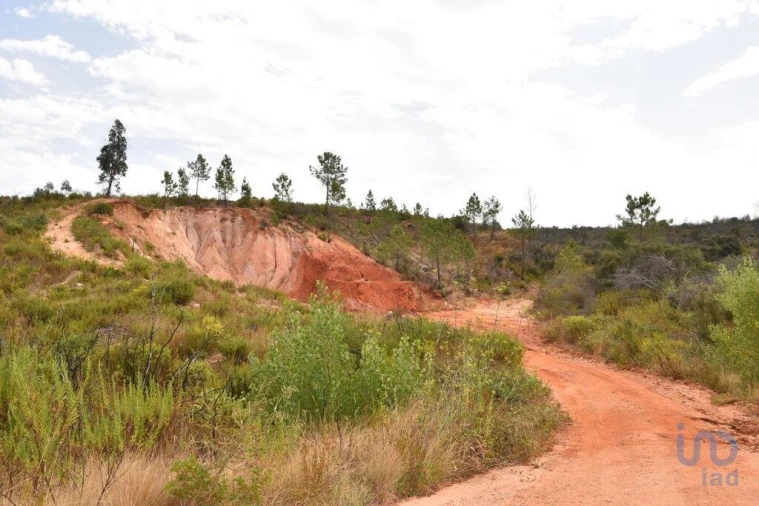 Terreno para Venda em Nossa Senhora do Pranto Foto 2