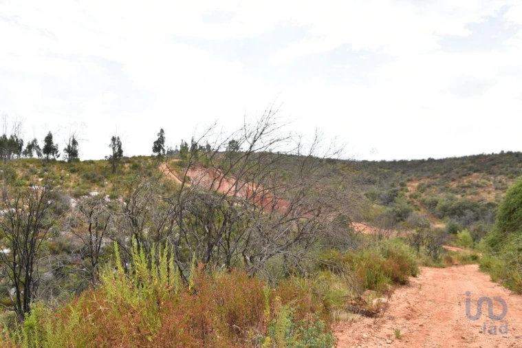 Terreno para Venda em Nossa Senhora do Pranto Foto 15