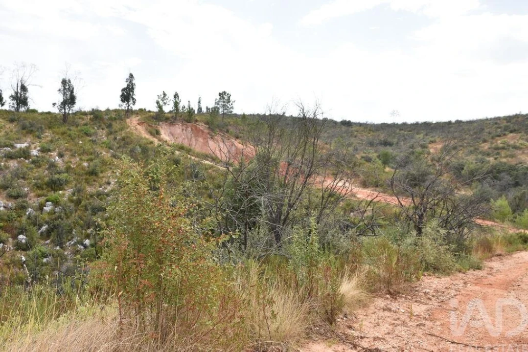 Terreno para Venda em Nossa Senhora do Pranto Foto 14