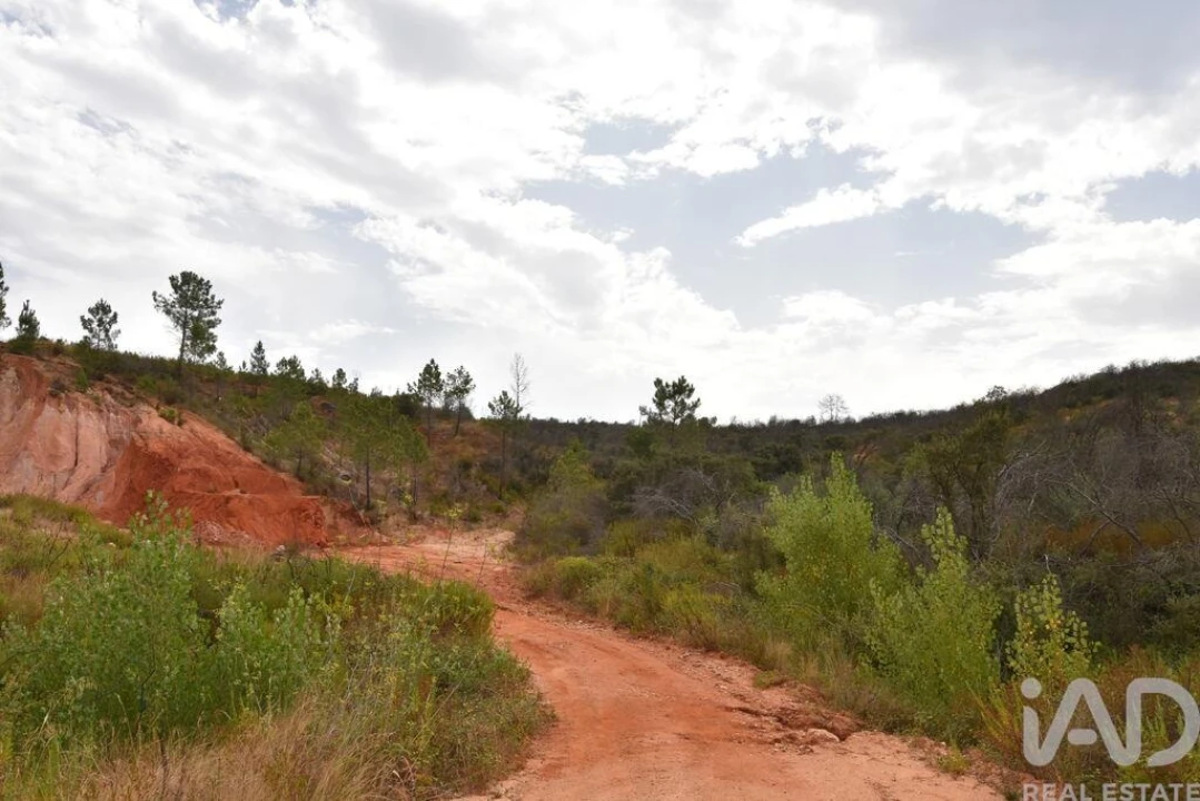 Terreno para Venda em Nossa Senhora do Pranto Foto 11