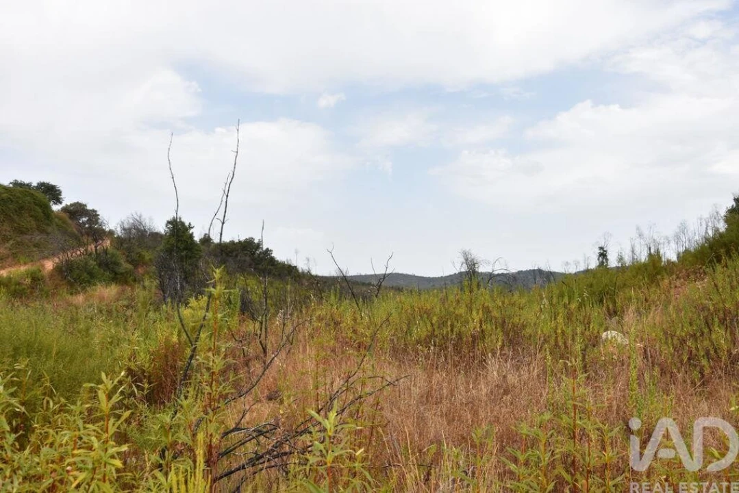 Terreno para Venda em Nossa Senhora do Pranto Foto 1