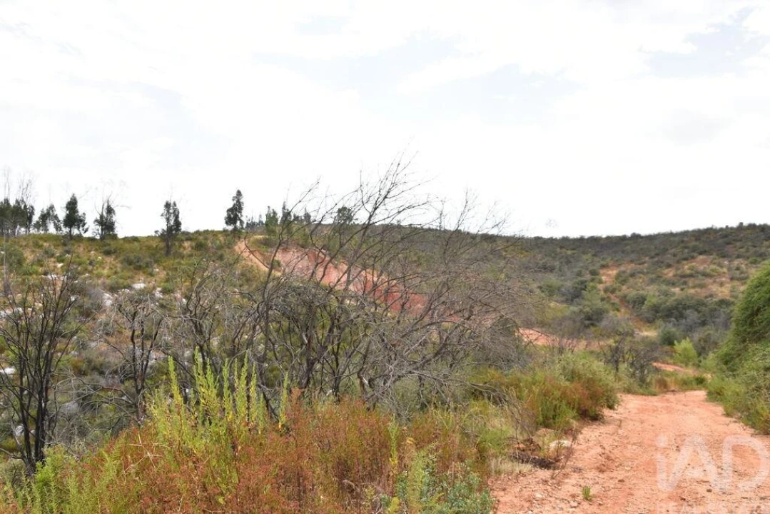 Terreno para Venda em Nossa Senhora do Pranto Foto 15