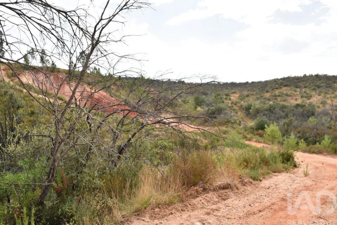 Terreno para Venda em Nossa Senhora do Pranto Foto 13