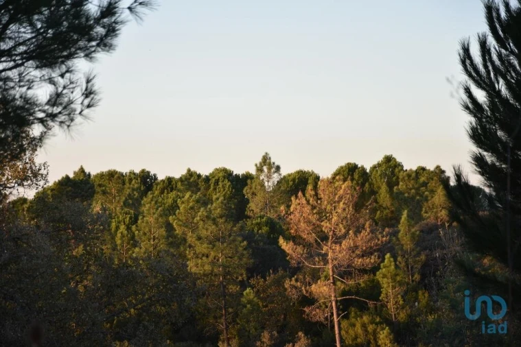 Terreno para Venda em Nossa Senhora do Pranto Foto 1