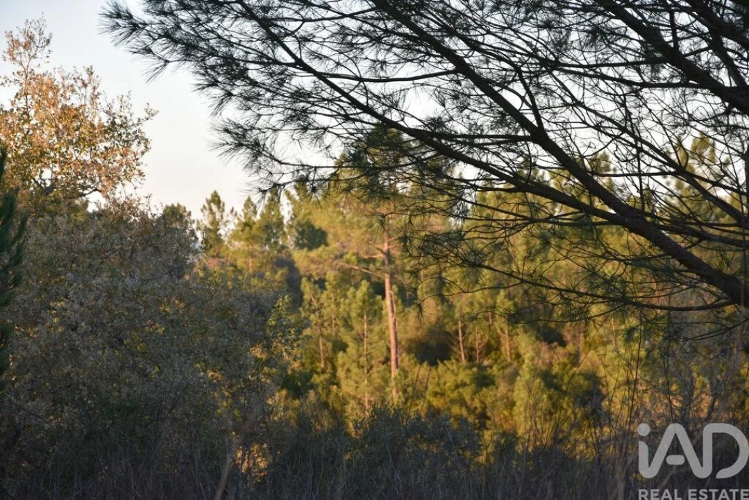 Terreno para Venda em Nossa Senhora do Pranto Foto 4