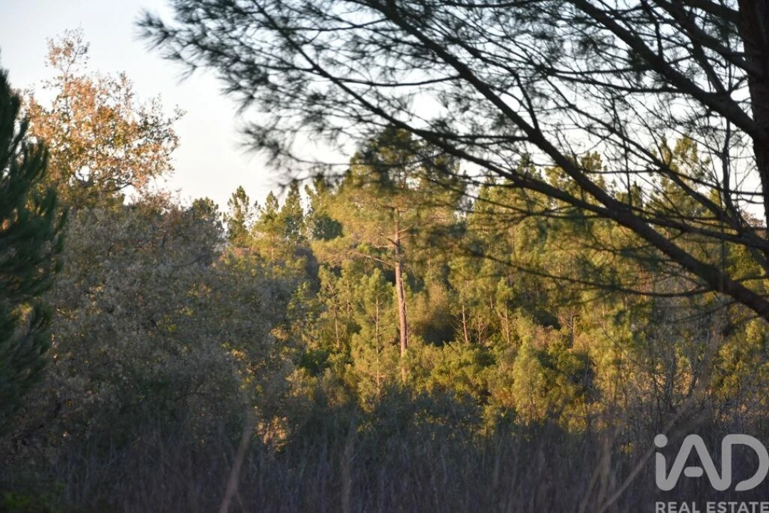 Terreno para Venda em Nossa Senhora do Pranto Foto 2
