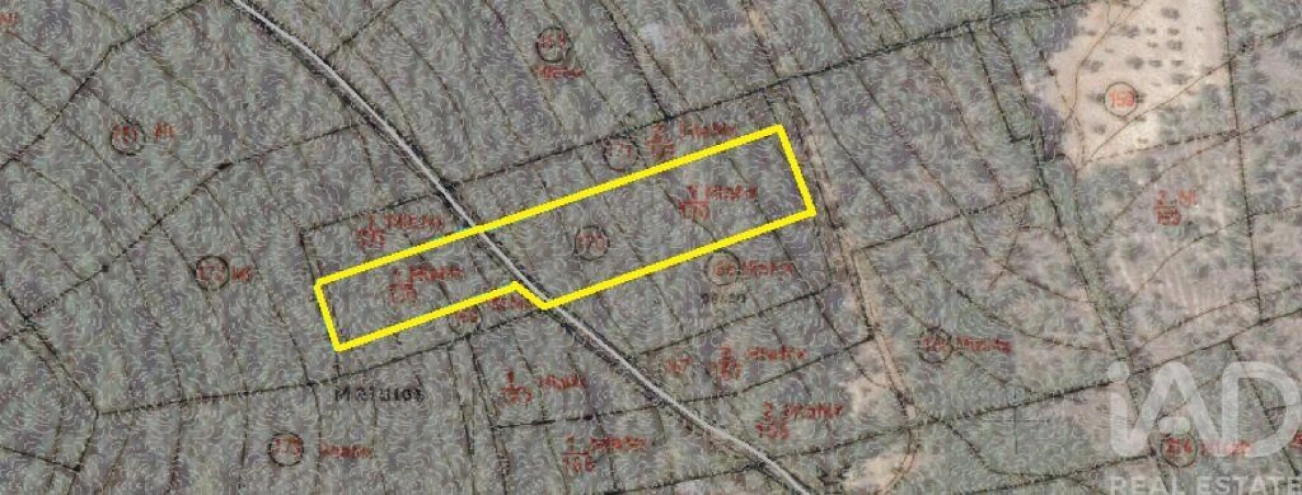 Terreno para Venda em Nossa Senhora do Pranto Foto 6