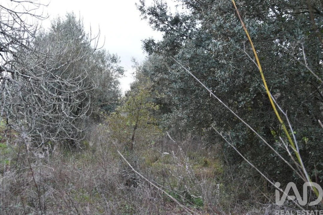 Terreno para Venda em Nossa Senhora do Pranto Foto 3
