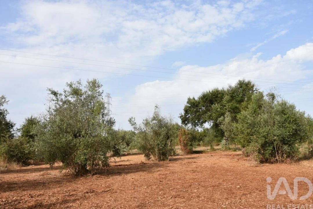 Terreno para Venda em Nossa Senhora do Pranto Foto 7