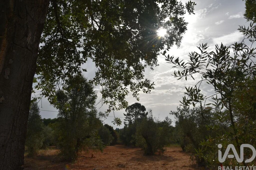 Terreno para Venda em Nossa Senhora do Pranto Foto 17
