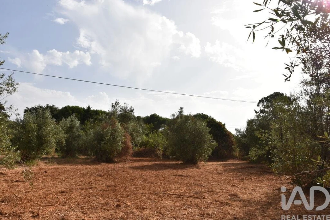 Terreno para Venda em Nossa Senhora do Pranto Foto 14