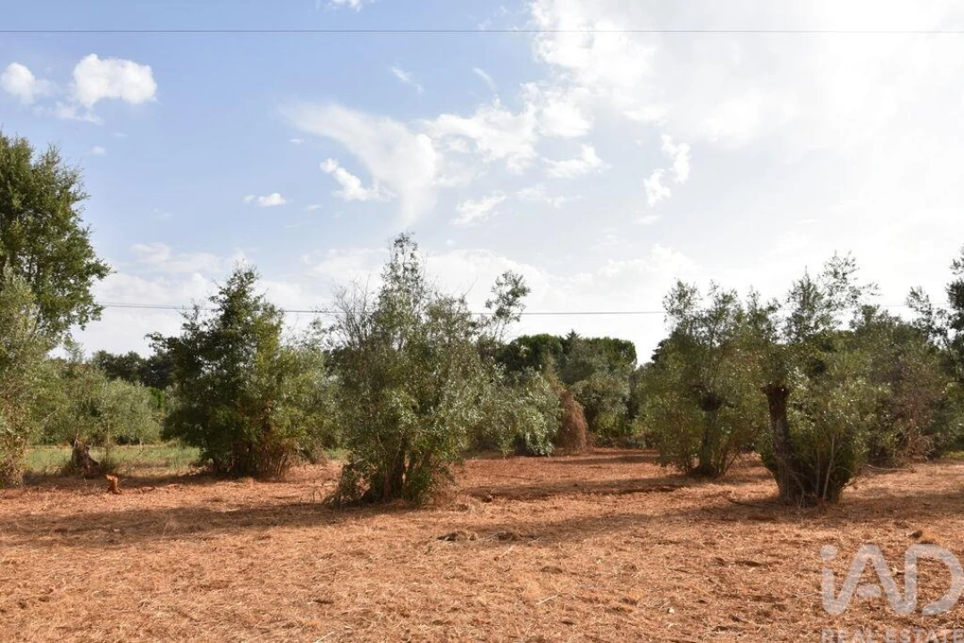 Terreno para Venda em Nossa Senhora do Pranto Foto 6