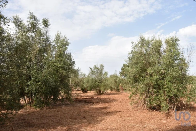 Terreno para Venda em Nossa Senhora do Pranto Foto 2