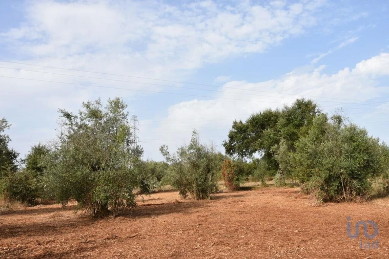Terreno para Venda em Nossa Senhora do Pranto Foto 7