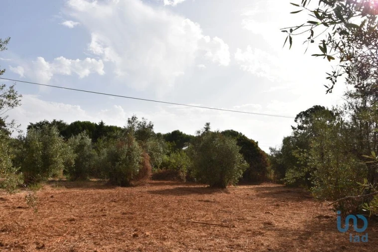 Terreno para Venda em Nossa Senhora do Pranto Foto 14