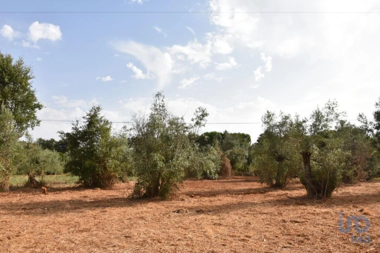 Terreno para Venda em Nossa Senhora do Pranto Foto 6