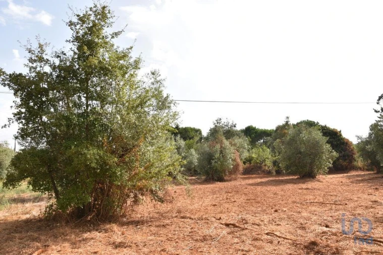 Terreno para Venda em Nossa Senhora do Pranto Foto 15