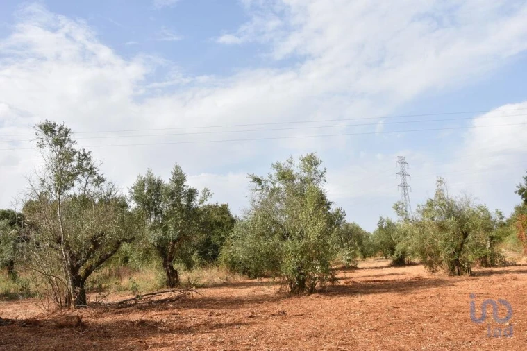 Terreno para Venda em Nossa Senhora do Pranto Foto 13
