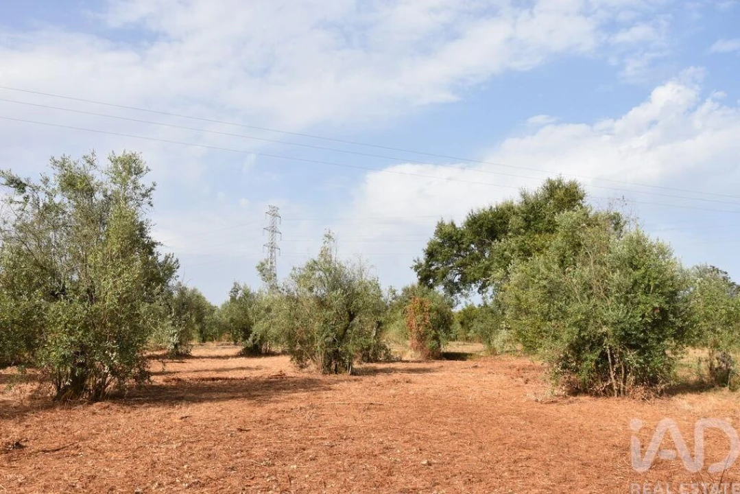 Terreno para Venda em Nossa Senhora do Pranto Foto 1