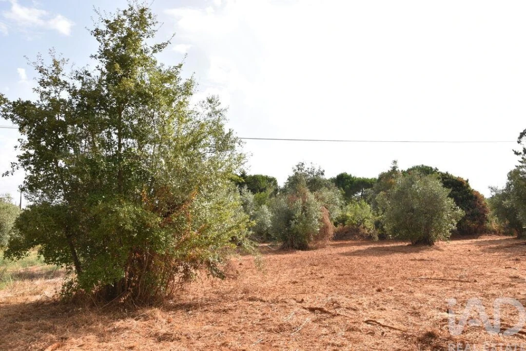 Terreno para Venda em Nossa Senhora do Pranto Foto 15